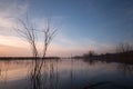 Skeletal tree on a lake at sunset, with beautiful reflections a