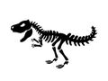 Dinosaur Tyrannosaurus skeleton. illustration.