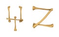Skeleton alphabet Y and Z
