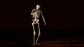 Skeleton Animation
