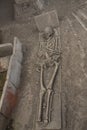 Skeleton in archaeological site of Viminacium Roma Royalty Free Stock Photo