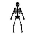 Skeleton. Black Human Bones Royalty Free Stock Photo