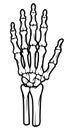 Skeleton bone hand illustrations