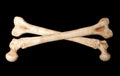 Skeleton bones Royalty Free Stock Photo