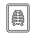 Skeleton, bones, x-ray, report outline icon. Line art design.