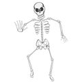 Skeleton Buddy Royalty Free Stock Photo