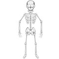 Skeleton Buddy Royalty Free Stock Photo
