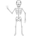 Skeleton Buddy Royalty Free Stock Photo