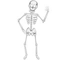 Skeleton Buddy Royalty Free Stock Photo