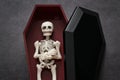 Skeleton in the coffin