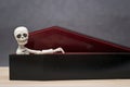 Skeleton in the coffin