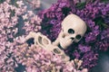 Skeleton in the colors of lilac. Concept on the theme of allergies in people during the flowering period of various plants