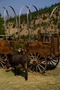 Skeleton of a Covered Wagon Royalty Free Stock Photo