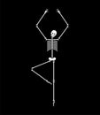 Skeleton dance isolated. Skull and bone dances. Vector illustration.