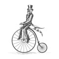 Skeleton in Dandy Clothes on a Retro Bicycle Tattoo Royalty Free Stock Photo