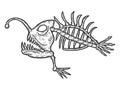 The Skeleton Of A Deep Sea Fish, A Predator. Engraving Raster Illustration.