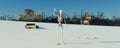 skeleton in the desert Royalty Free Stock Photo