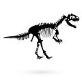 The skeleton of a dinosaur. Raster Royalty Free Stock Photo
