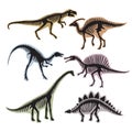 Skeleton of dinosaurs. Vector silhouette of tyrannosaurus, diplodocus and others wild animals Royalty Free Stock Photo