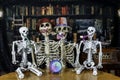 skeleton family celebrating New Years Eve with party favors