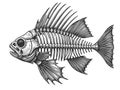 Skeleton of Fish engraving vector illustration Royalty Free Stock Photo