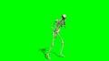 Skeleton goes crippled forward 2 - green screen