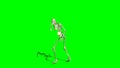 Skeleton goes crippled forward 3 - green screen