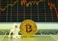 A skeleton and a gold bitcoin standing on a notepad of a notebook computer with a stock graph in the background