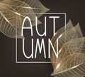 Skeleton golden leaves. Autumn background. Royalty Free Stock Photo