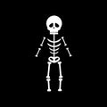 Skeleton halloween illustration