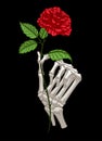 Skeleton Hand Holding a Red Rose in Black Background Royalty Free Stock Photo