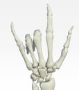 Skeleton hand making offensive gesture