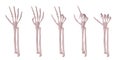 Skeleton hands counting 1-5