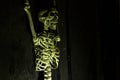Skeleton hanging in the darkness ready to scare people. Royalty Free Stock Photo