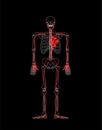 Skeleton heart flower. lover anatomy. Love Circulatory system