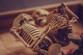 Skeleton holding hand for eternal love. Selective focus on hand Royalty Free Stock Photo