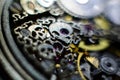 Skeleton hours. Antique antique clockwork, jewelry engraving. mechanical pocket watch close-up, selective focus.