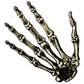 The skeleton human hand on a blank background