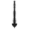 Skeleton Human Vertebral column silhouette spine body bones - sacrum, vertebrae, coccyx front Anterior ventral view Royalty Free Stock Photo