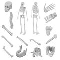 Skeleton icons set, isometric style