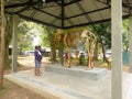 Skeleton of Indian elephant on display