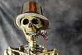 Skeleton with party favor wearing patriotic top hat Royalty Free Stock Photo