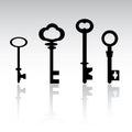 Skeleton keys Royalty Free Stock Photo