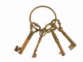 Skeleton keys on a ring Royalty Free Stock Photo