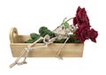 Skeleton Laying in a Wooden Box with Roses Royalty Free Stock Photo