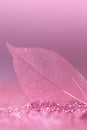 skeleton leaves.Skeletonized pink leaf close-up in pink glow glitter on a pink background.Wallpaper phone shining