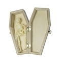 Skeleton lying in Wooden coffin Royalty Free Stock Photo