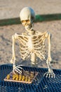 Skeleton playing chess Royalty Free Stock Photo