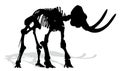 Skeleton of mammoth. Royalty Free Stock Photo