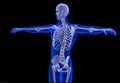 Skeleton of the man. Contains clipping path